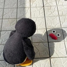 查无此人