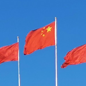 药丸子