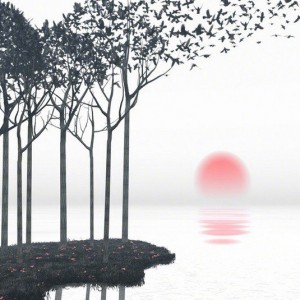 君之竹