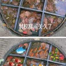 小米锅巴