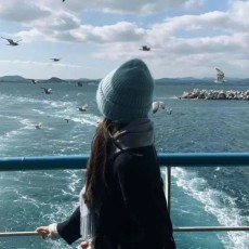 半夏