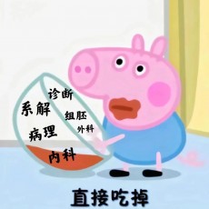 减字木兰花