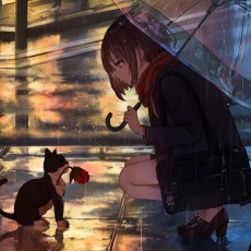 向阳松