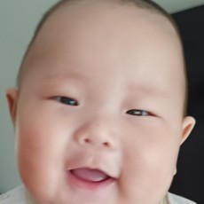 13079862660