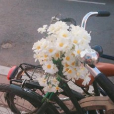 月游满洋