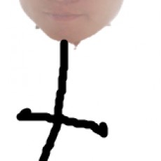 六神.不二