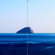 上山打老虎
