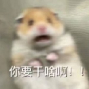 神奇海螺