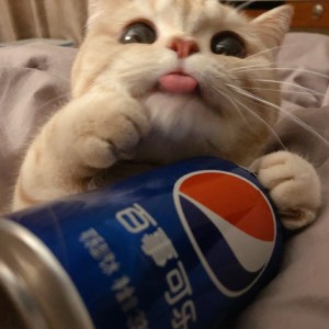 宇宙未知快乐发射器