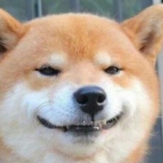 学习使我进步