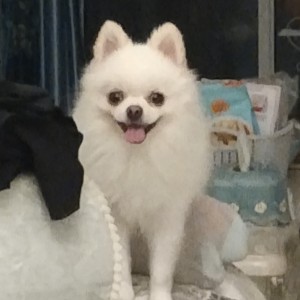 安颜