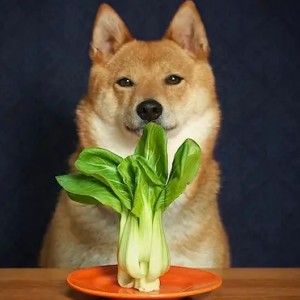 暄