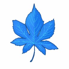 EdrawMax user profile image