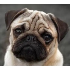 EdrawMax user profile image