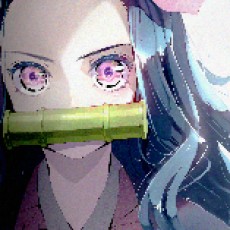 逐光者