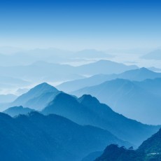 脚踏实地谋发展