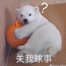 小圆脸捏捏