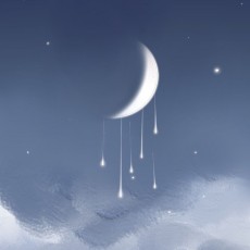 一只小船