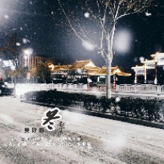 北极狐