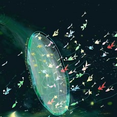 又争又抢既要又要