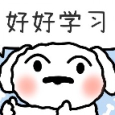 大脑壳子