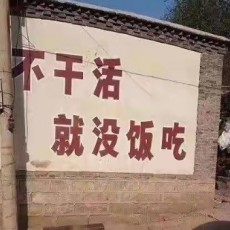 XYi
