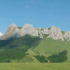 杜八