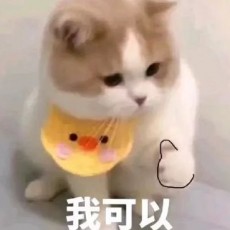 墨