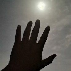 昨夜无花落