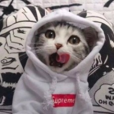 曾惠瑞