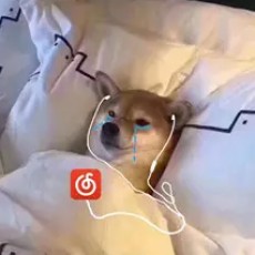 墨小胖