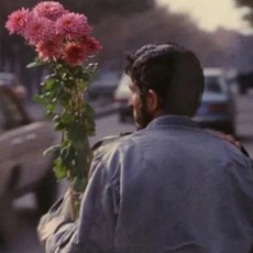 伊丽莎白与达西