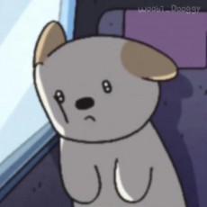 学不会么睡觉吧zZz