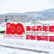 橙汁儿爱学习🍊