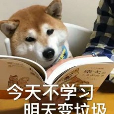 好好学习的小艾