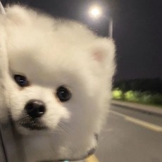今天胃胀气了吗