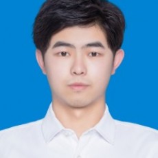 杨.