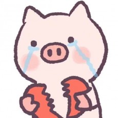 法外狂徒猪一宝