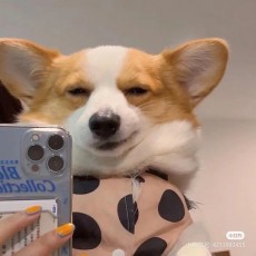 爱劳动的不高兴