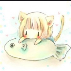 猫咪想吃鱼