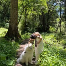 Lilyy