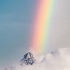 EdrawMax user profile image