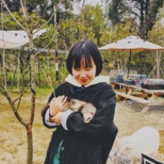 万能的小杨