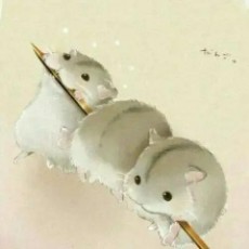 时光悠