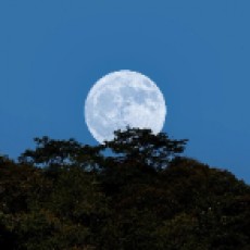 EdrawMax user profile image