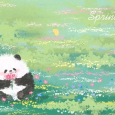 南望