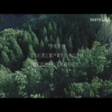 Rachel_Wi超然