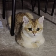 🍀向前一步🍀