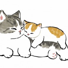 叫什么迪