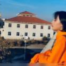 海贼王的女人